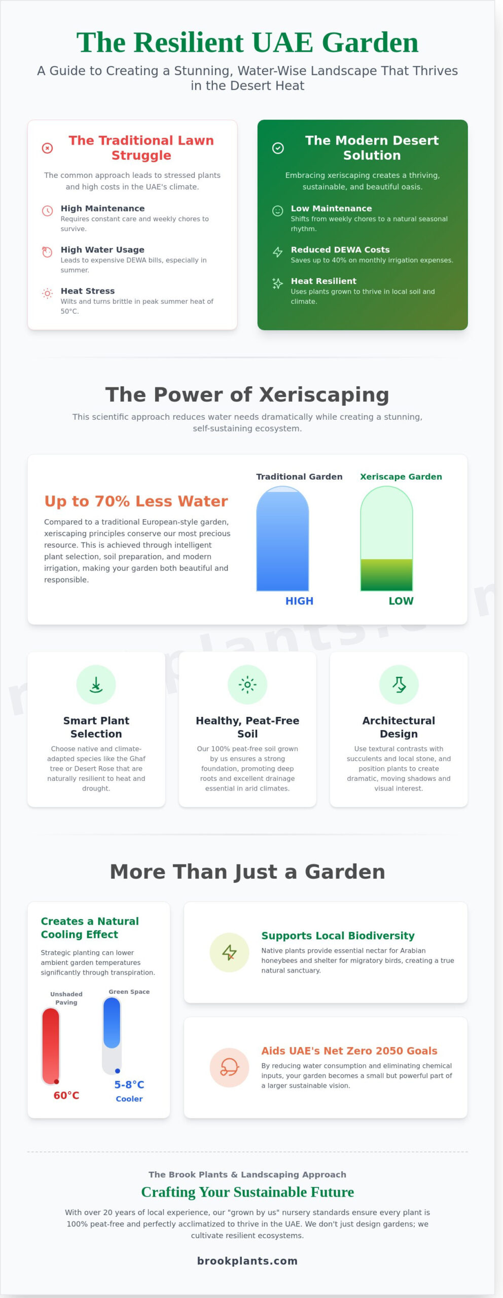 Designing a Sustainable Desert Landscape: The 2026 UAE Guide