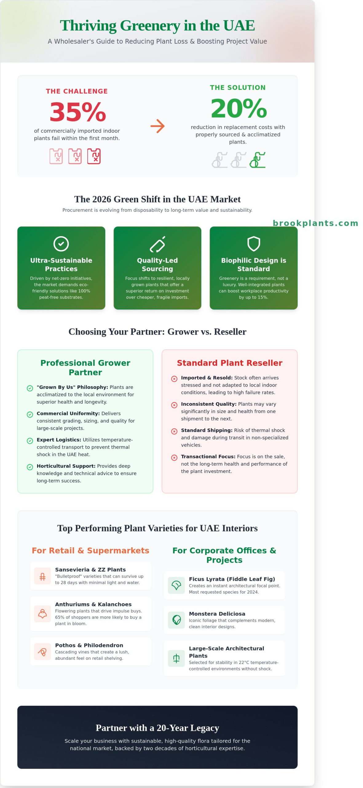 Indoor Plant Wholesale UAE: The 2026 Professional Sourcing Guide