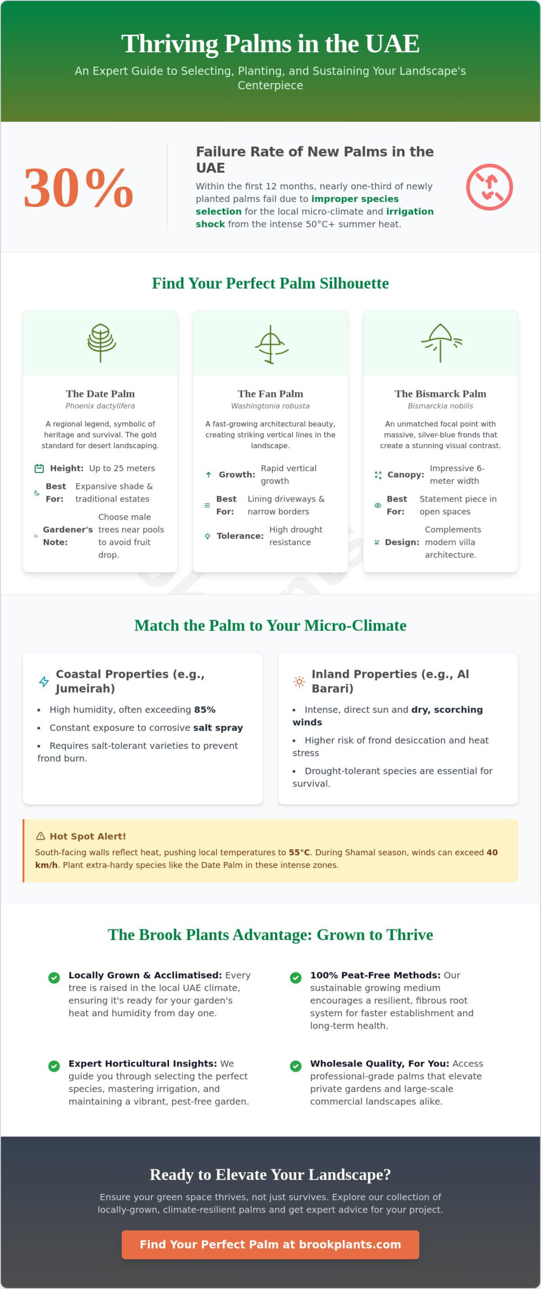 The Ultimate Guide to Selecting and Caring for a Palm Tree in Dubai & the UAE
