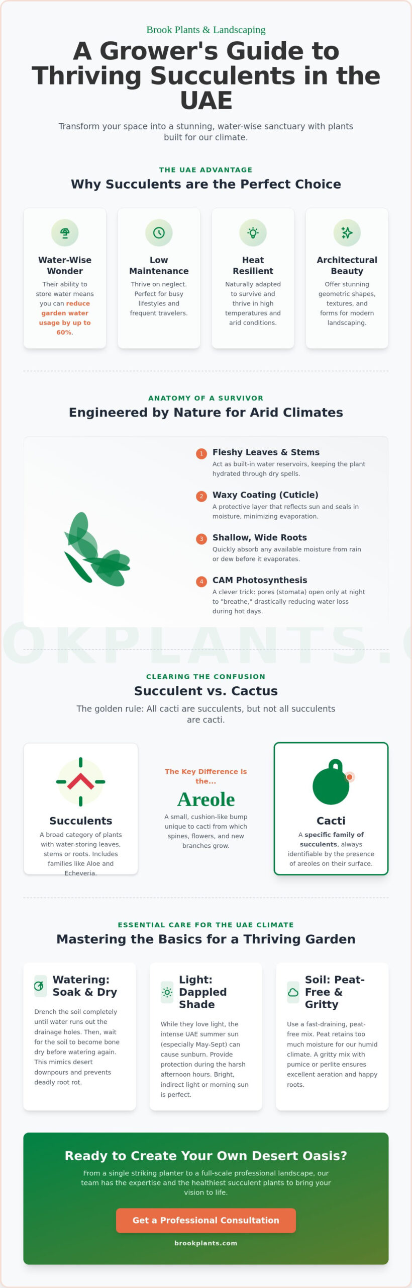 Succulent Plants: The Essential Guide to Water-Wise Beauty in the UAE
