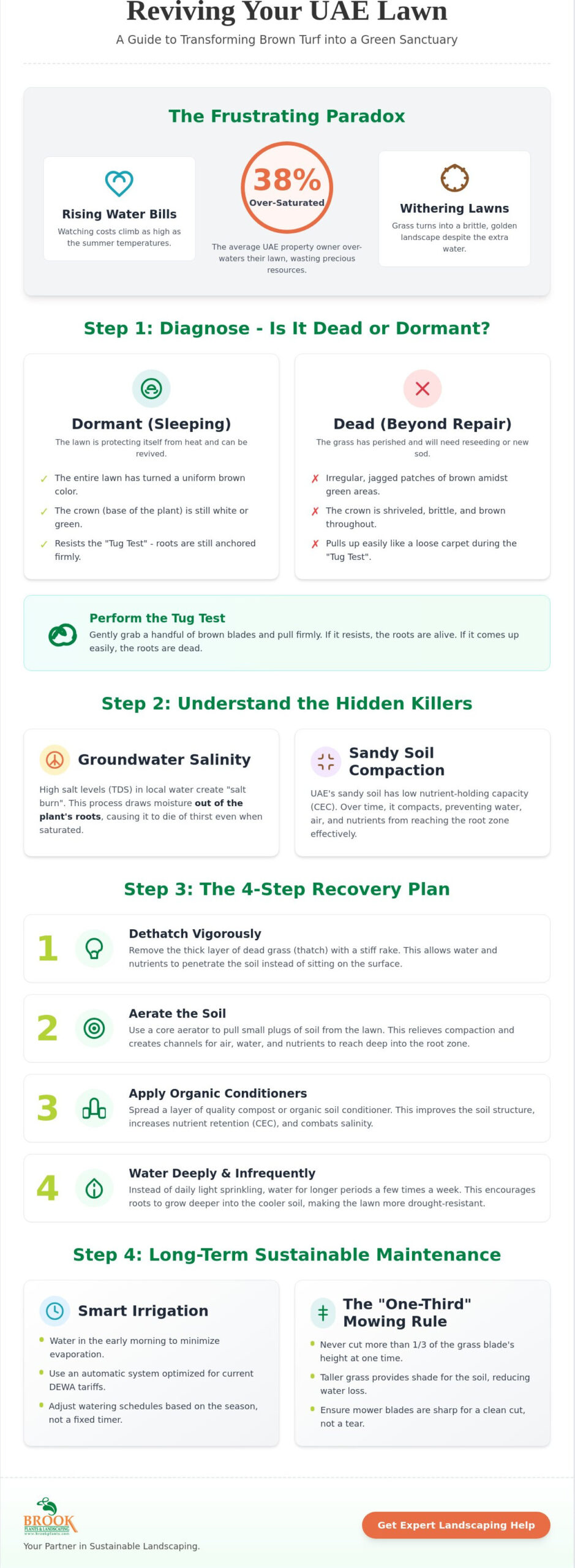 How to Revive a Dying Lawn in the UAE: A 2026 Recovery Guide