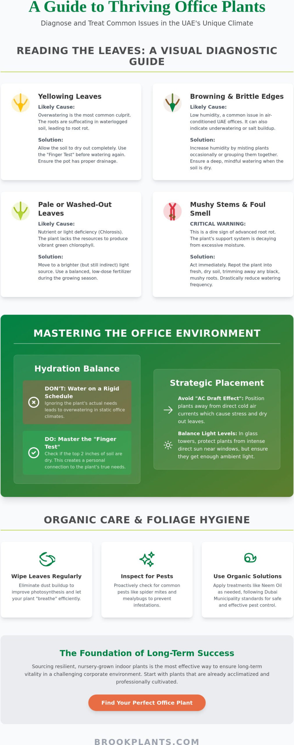 Common Problems with Office Plants and Solutions: The 2026 UAE Care Guide